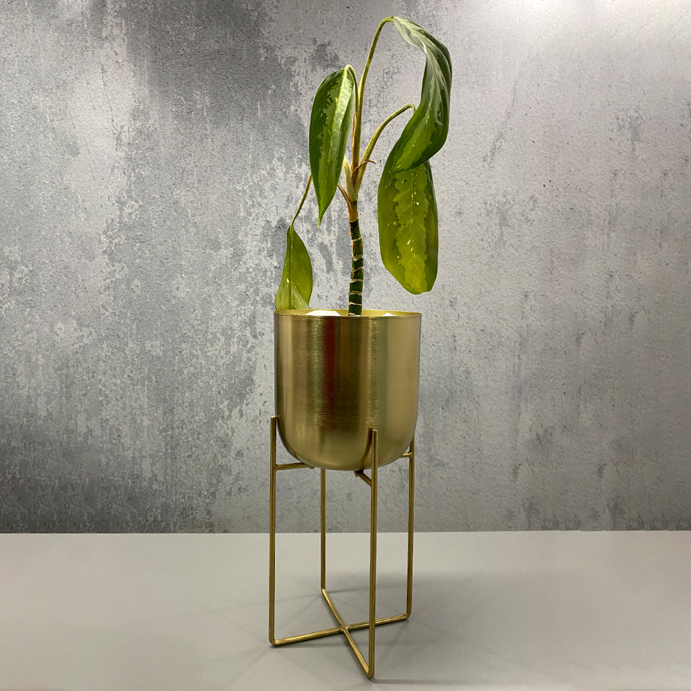 Modern Metal Floor Flower Planter Pot Stand