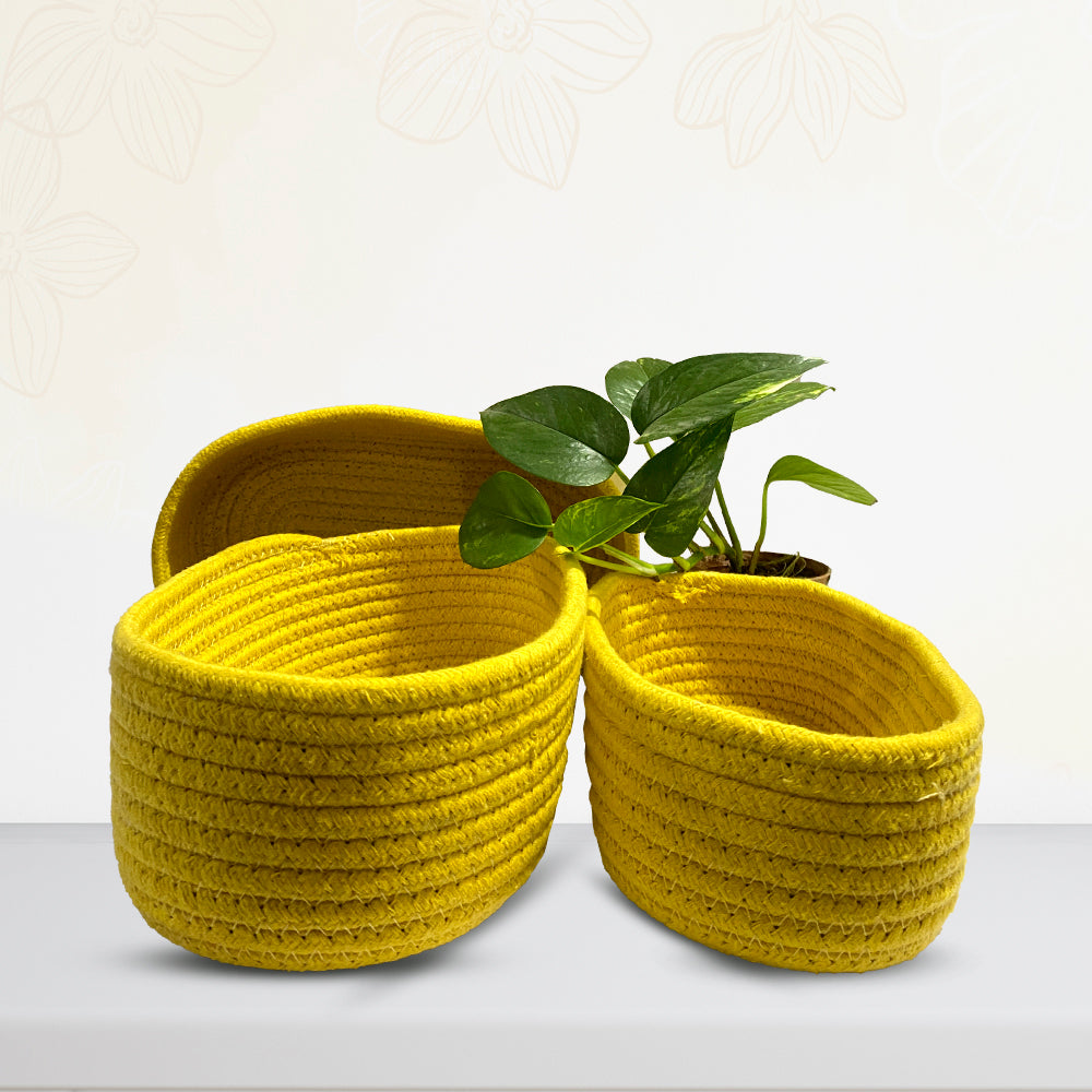 Rope Storage Natural Handwoven Jute Shelf Yellow Baskets-Set of 3