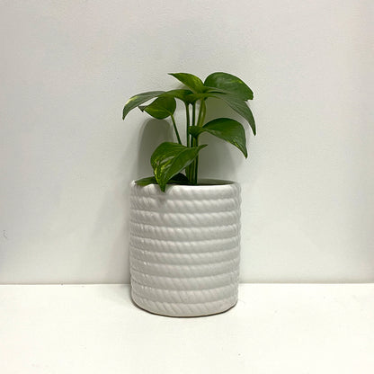 Pure Elegance Ceramic White Planter