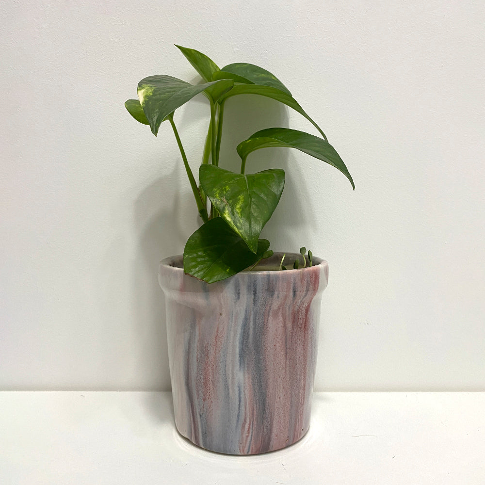 Pink Ceramic Planter with Contemporary Design