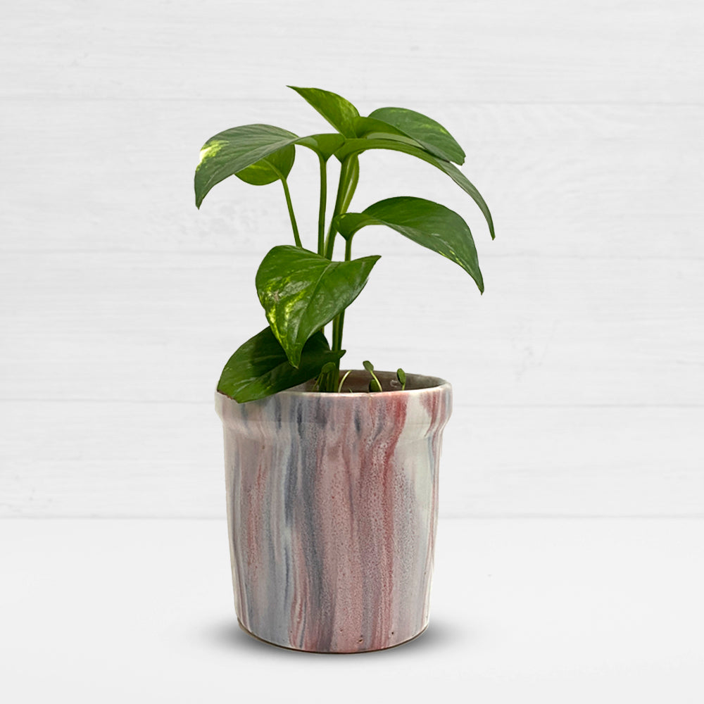 Pink Ceramic Planter with Contemporary Design