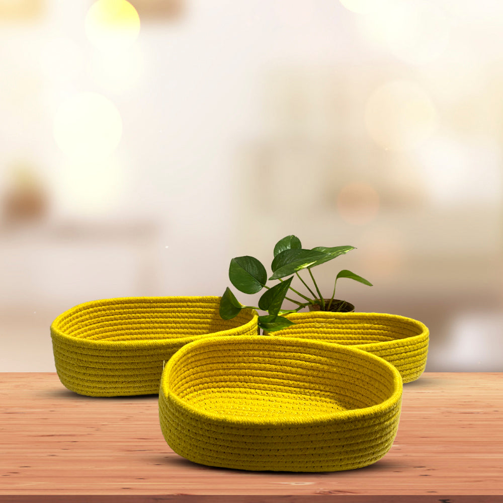 Rope Storage Natural Handwoven Jute Shelf Yellow Baskets-Set of 3