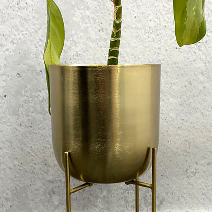 Modern Metal Floor Flower Planter Pot Stand