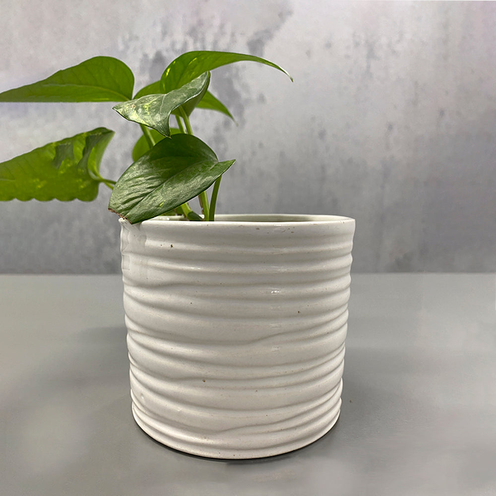 Premium Finish Ceramic White Planter