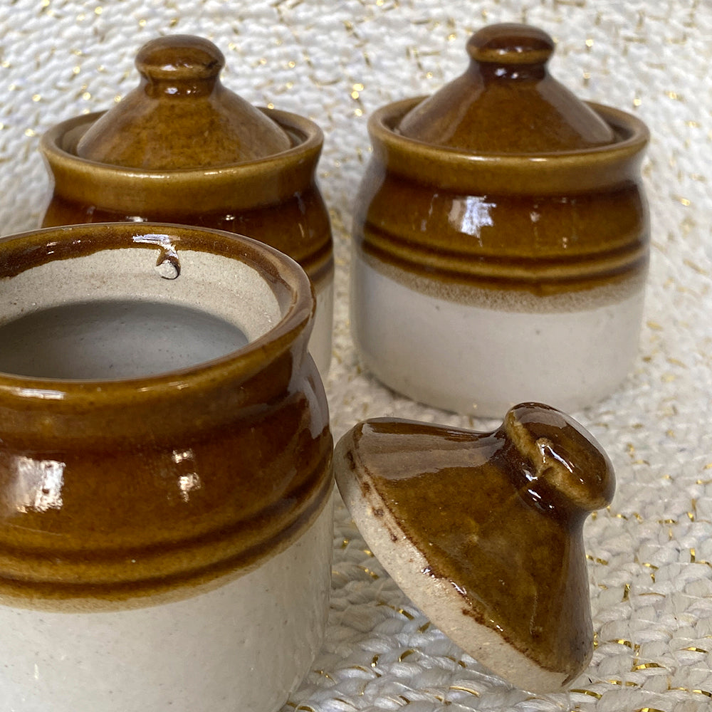 Versatile Ceramic Pickle Jar Set With Lid -Set of 4