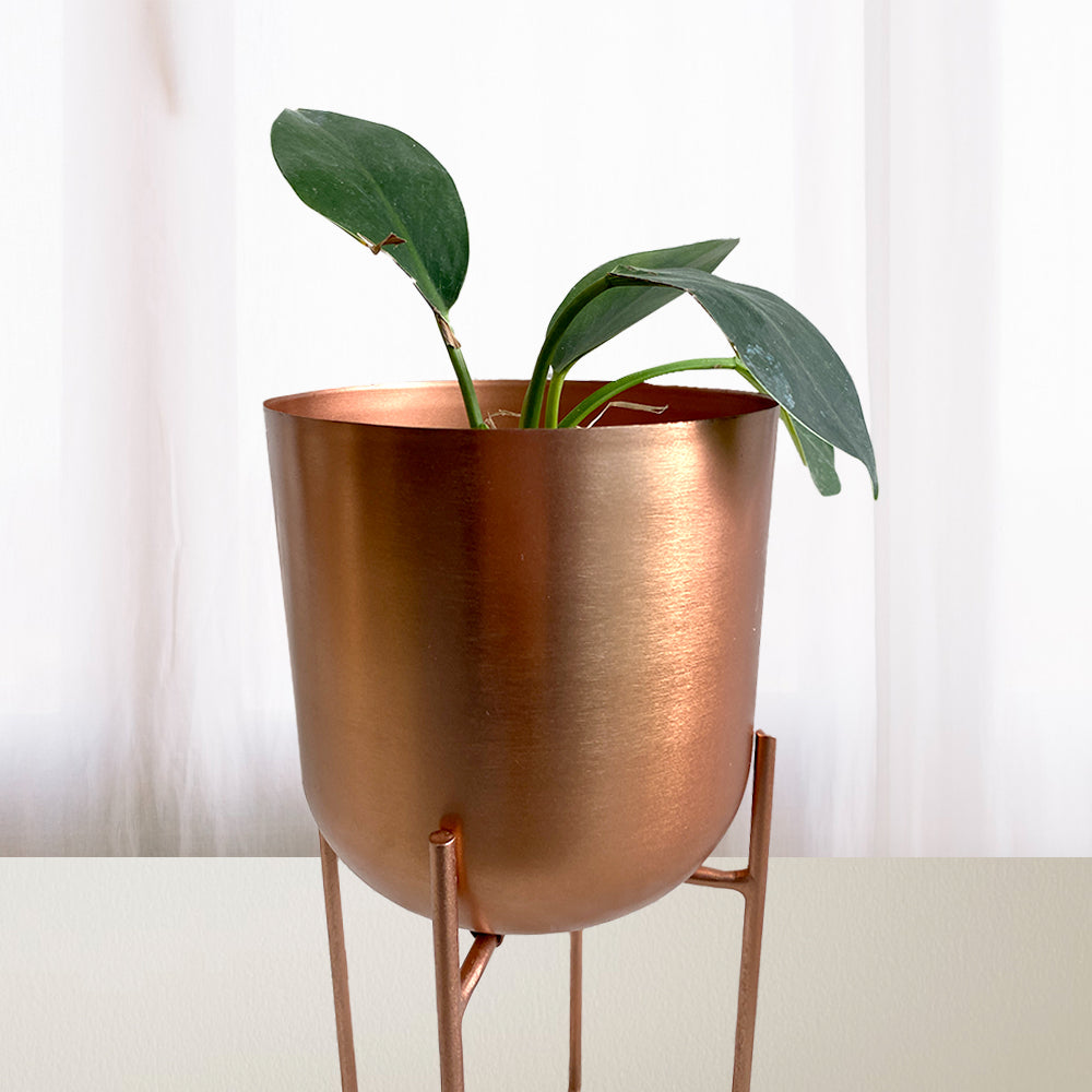 Premium Round Metal Planter with Planter Stand