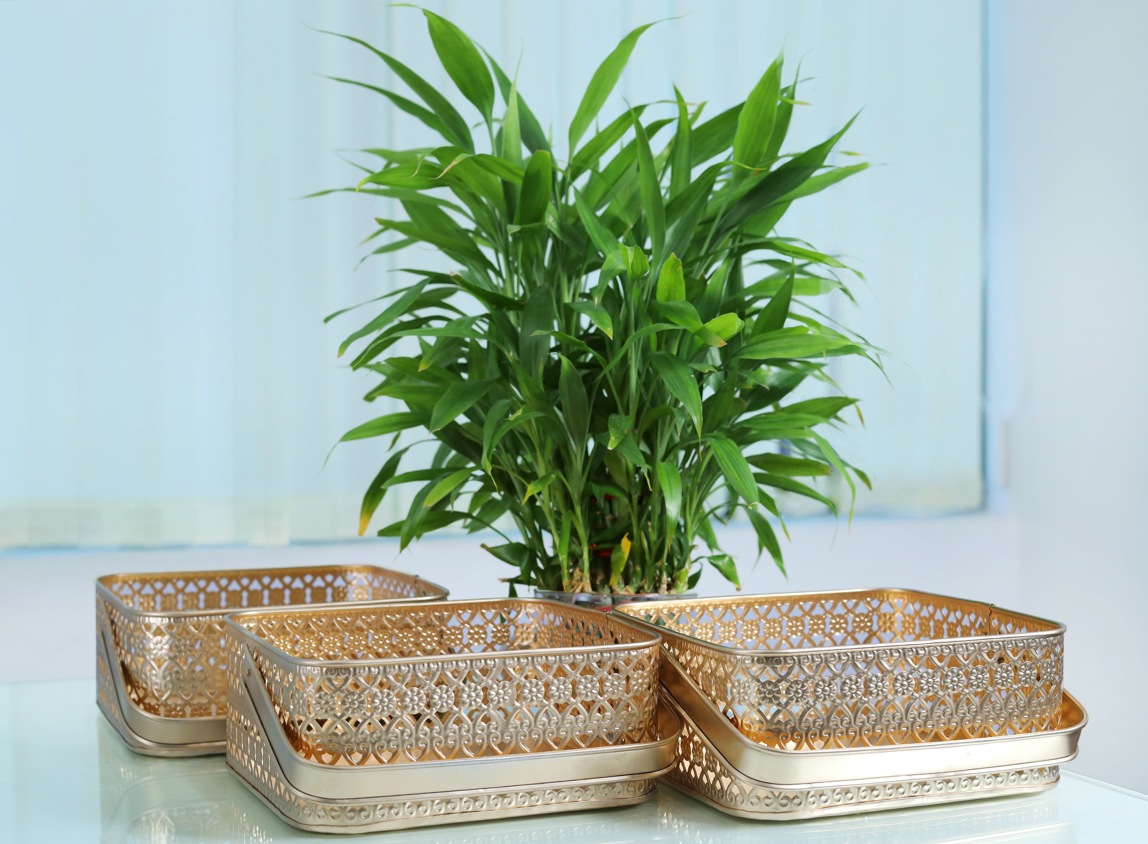 Golden Elegance Square Trio Baskets- Set Of 3