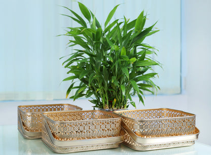 Golden Elegance Square Trio Baskets- Set Of 3