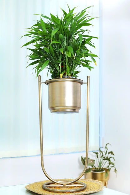 Golden Haven Metal Planter with Stand