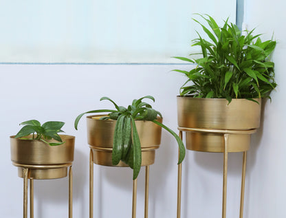 Golden Elegance Planters- Set of 3