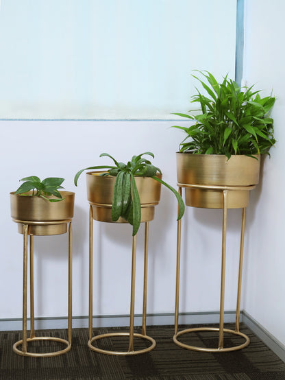 Golden Elegance Planters- Set of 3