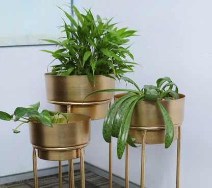 Golden Elegance Planters- Set of 3