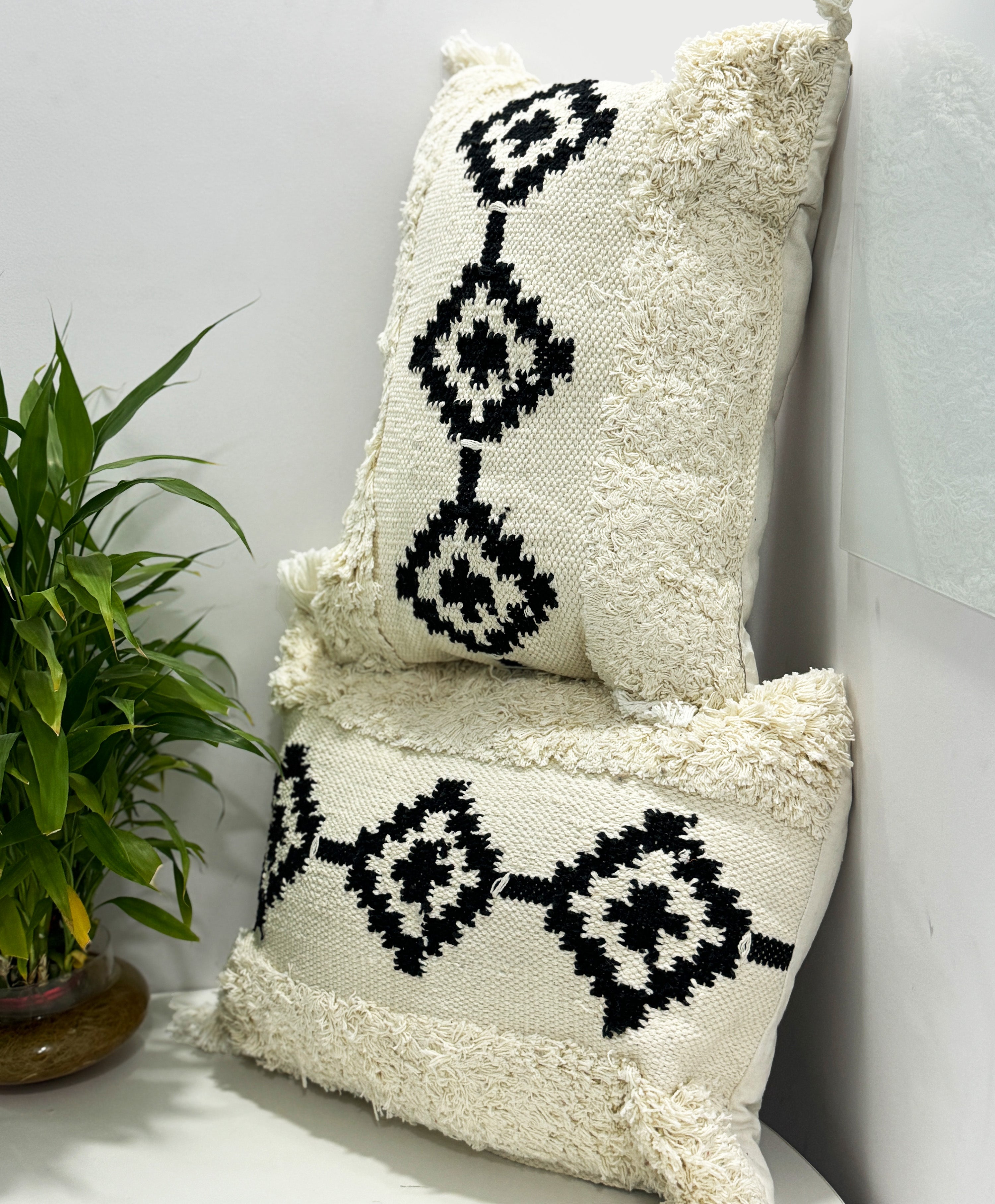 White Decorative Cushion with Cover-Set of 2