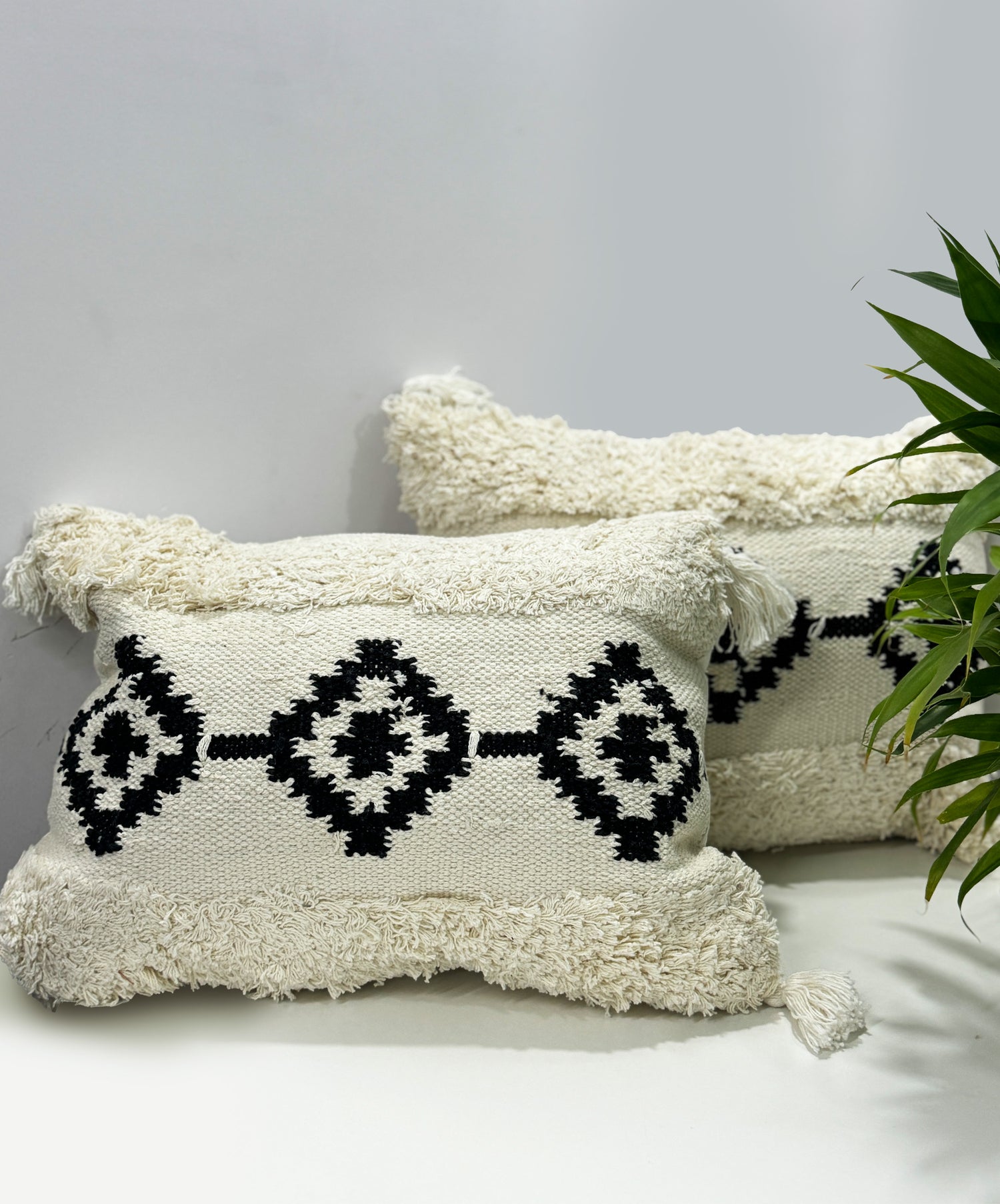 White Decorative Cushion with Cover-Set of 2