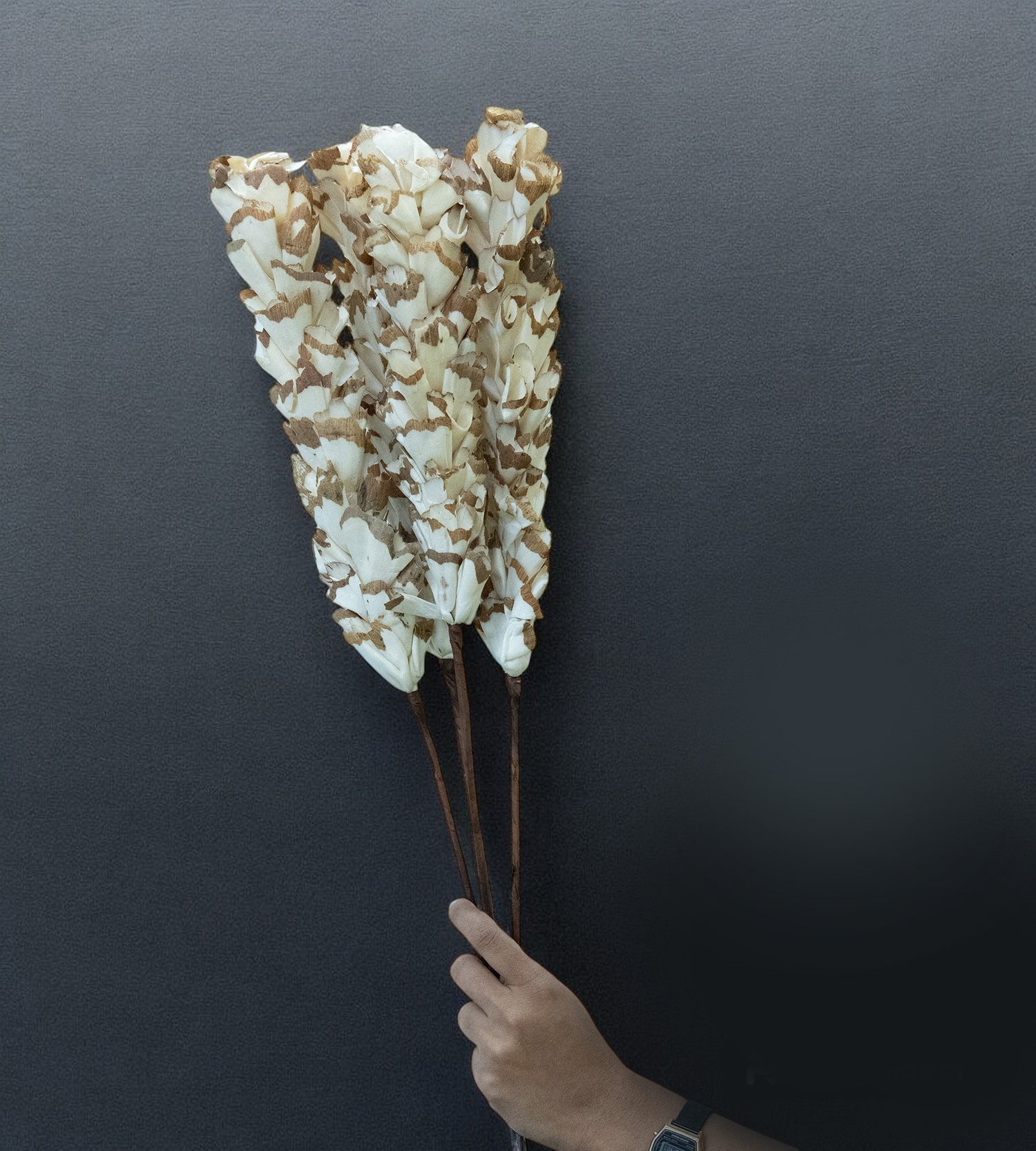 White Bunch of Dried Jasmine Flower 4 Stick