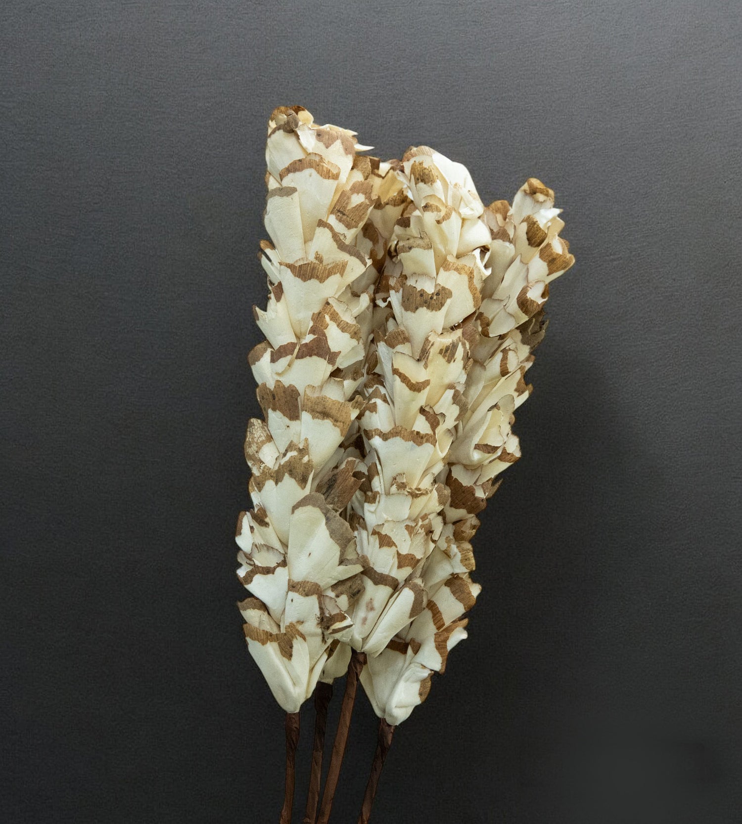 White Bunch of Dried Jasmine Flower 4 Stick