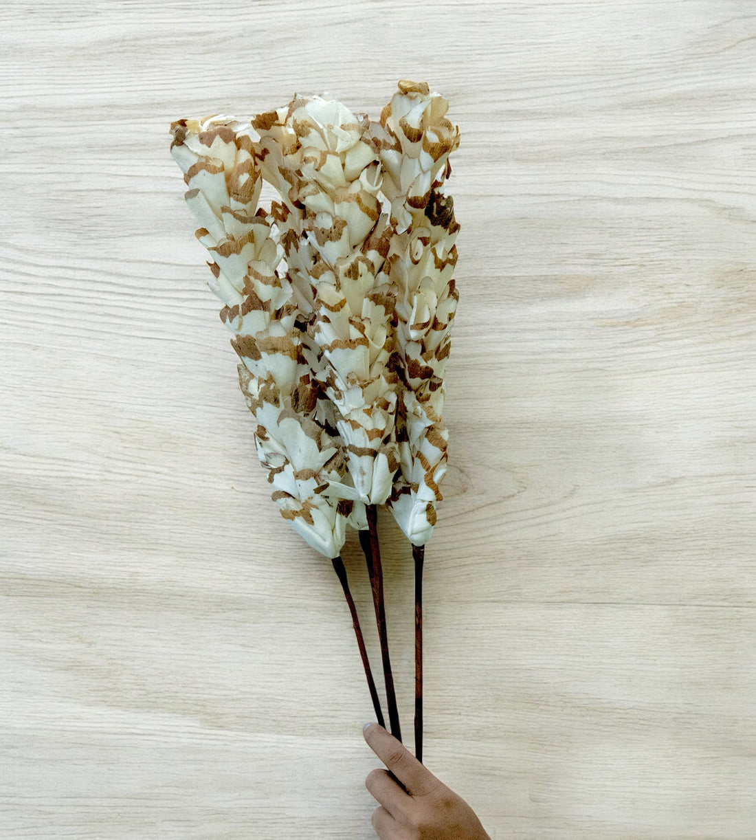 White Bunch of Dried Jasmine Flower 4 Stick