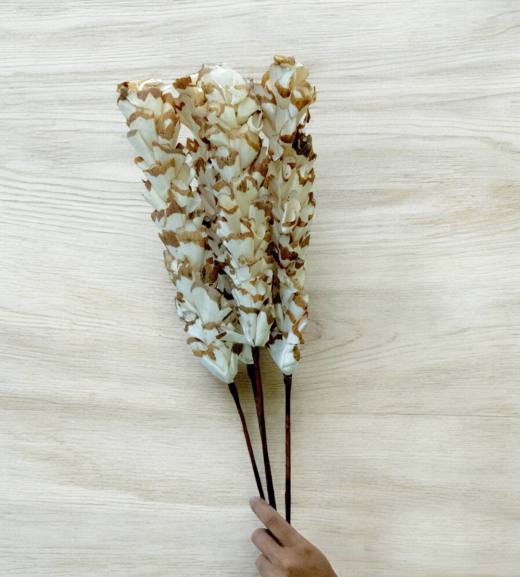 White Bunch of Dried Jasmine Flower 4 Stick