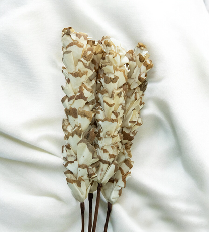 White Bunch of Dried Jasmine Flower 4 Stick