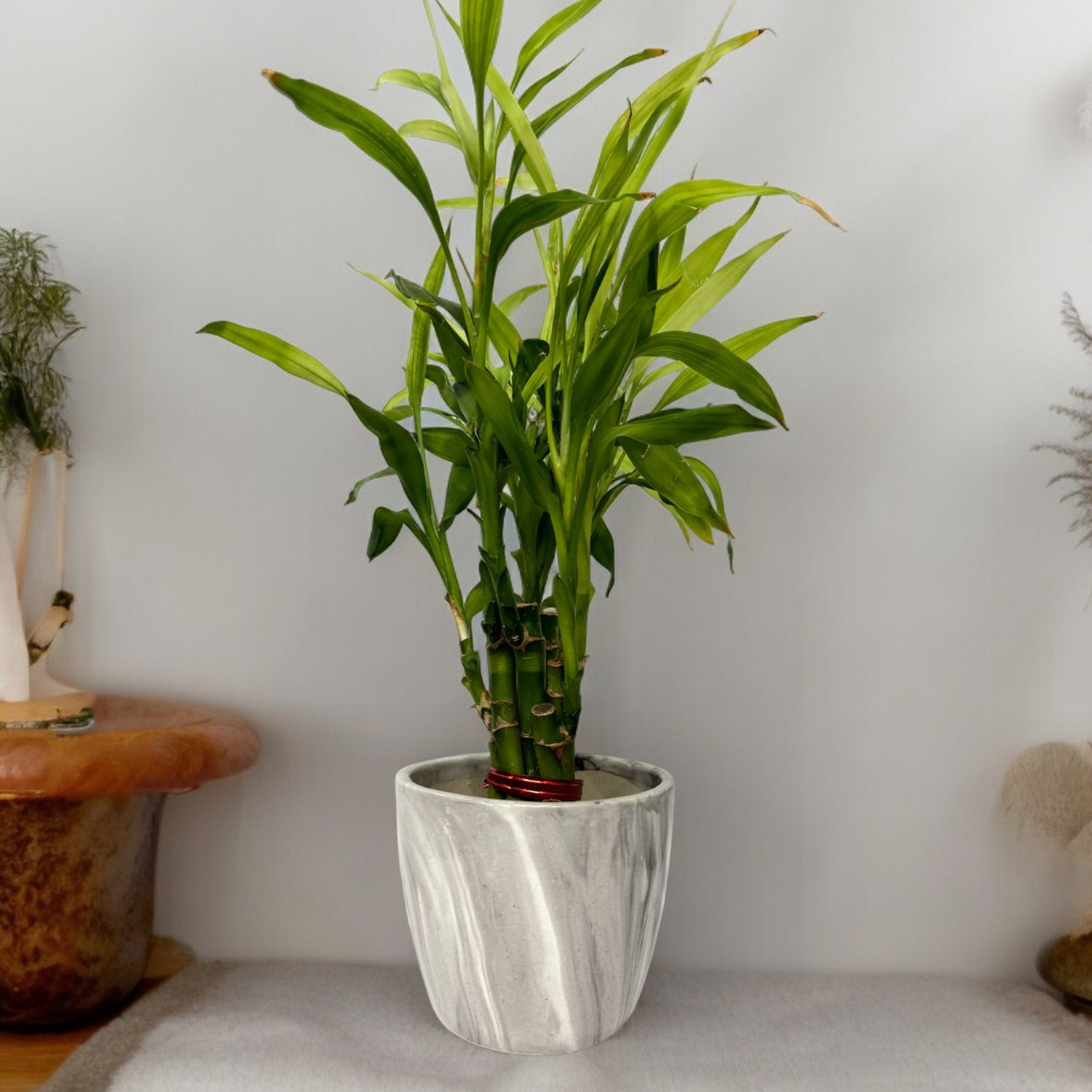 Grey Small Ceramic Planter