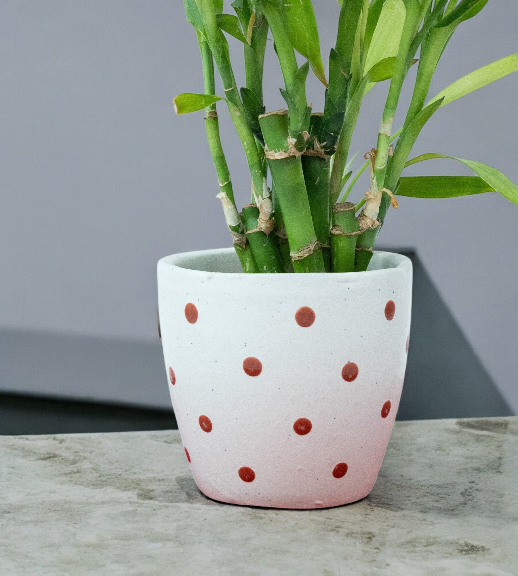 White Brown Dotted Ceramic Small Planter