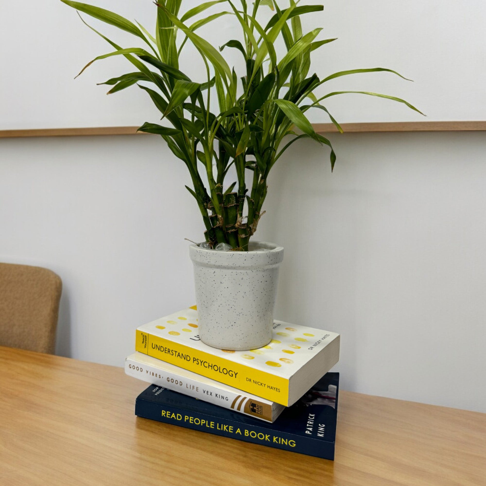 White Ceramic Small Planter