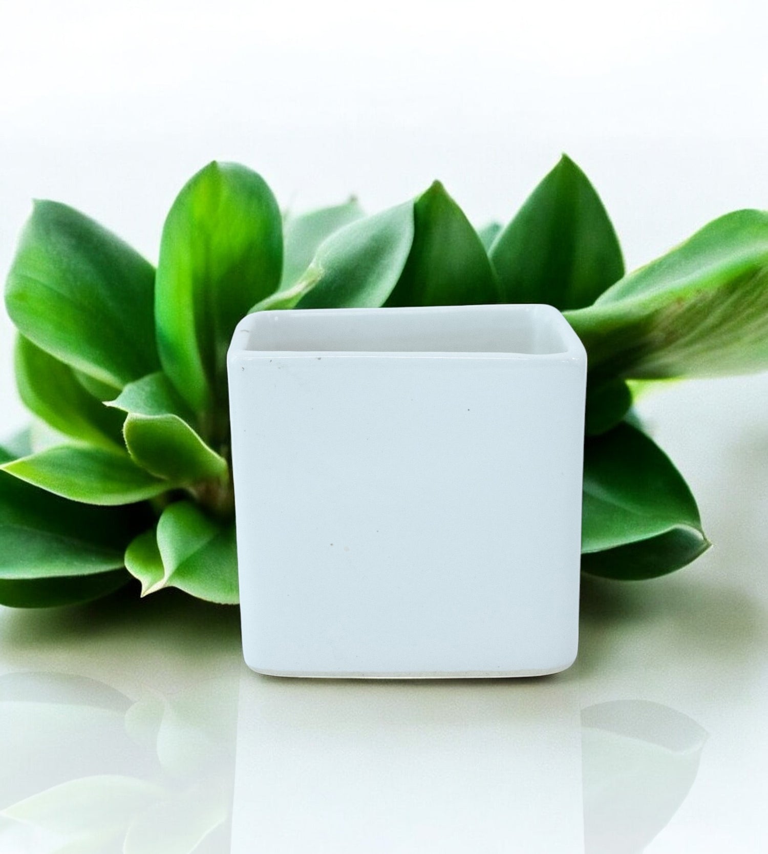 Pure Elegance White Ceramic Planter