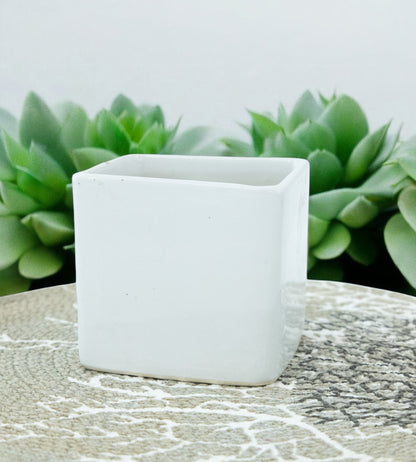 Pure Elegance White Ceramic Planter