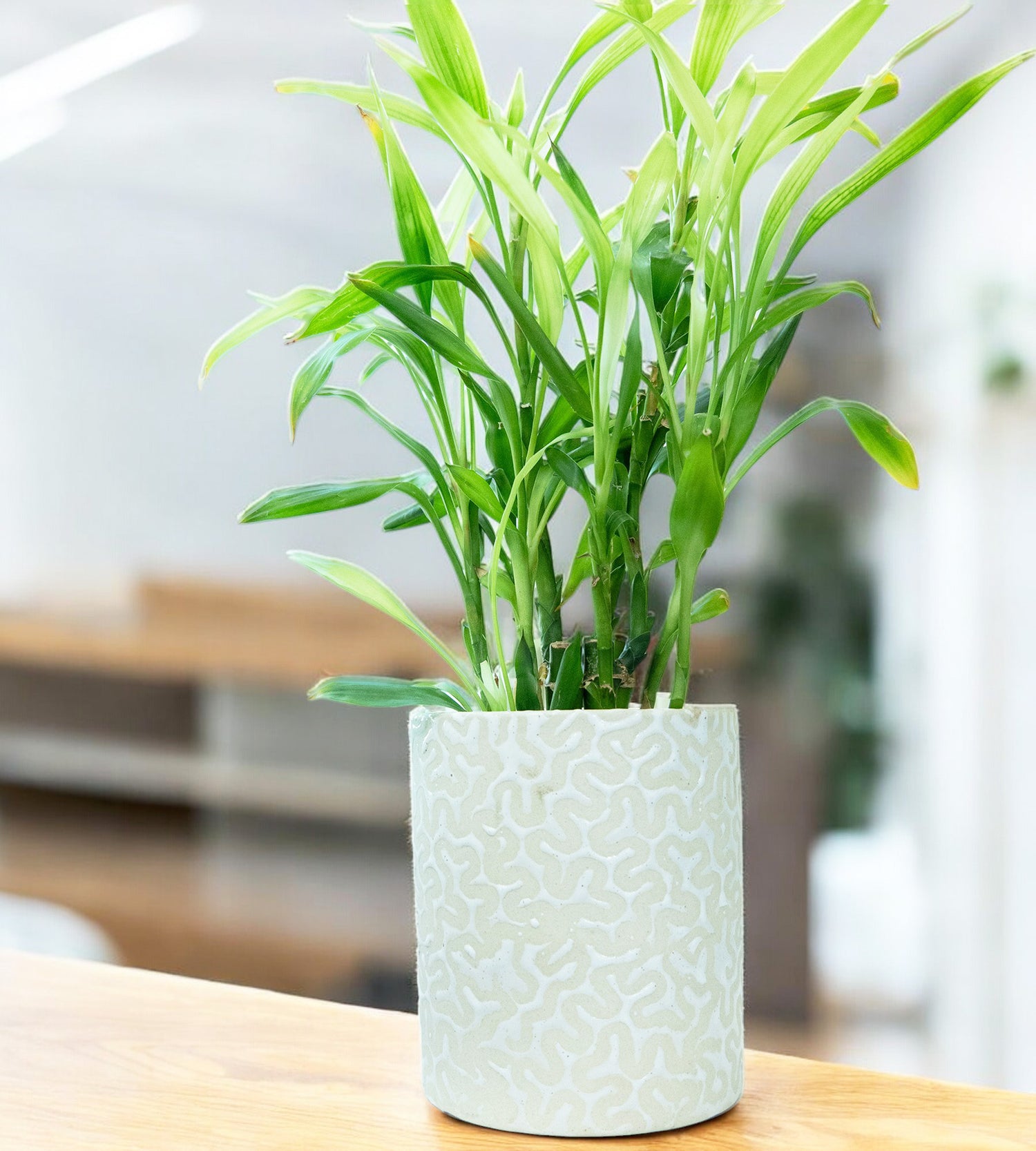 Ceramic White Intricate Design Pot